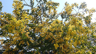 p3270506_thumb.jpg