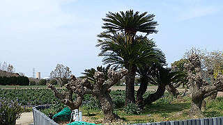 p3270508_thumb.jpg
