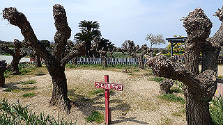 p3270509_thumb.jpg