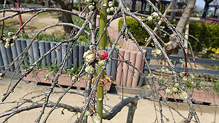 p3270510_thumb.jpg