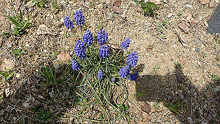 p3270512_thumb.jpg