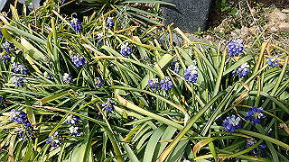 p3270513_thumb.jpg