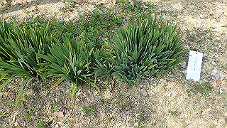 p3270514_thumb.jpg