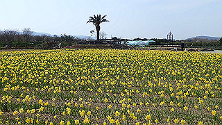 p3270520_thumb.jpg