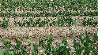 p3270521_thumb.jpg