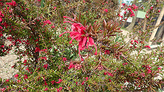 p3270526_thumb.jpg