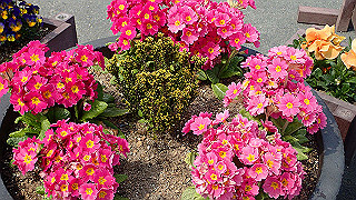 p3270530_thumb.jpg