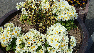 p3270531_thumb.jpg