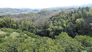 p3270537_thumb.jpg