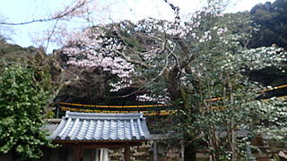 p3270543_thumb.jpg