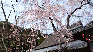 p3270548_thumb.jpg