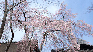 p3270549_thumb.jpg