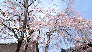 p3270550_thumb.jpg