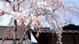 p3270551_thumb.jpg