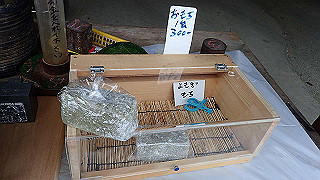 p3270555_thumb.jpg