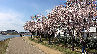 20190403_060000358_ios_thumb.jpg