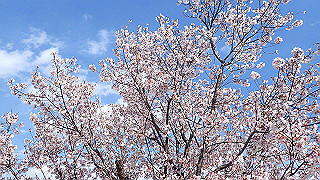 p4030470_thumb.jpg