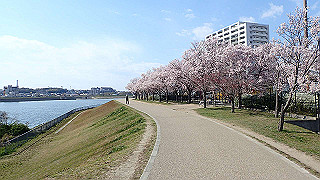 p4030471_thumb.jpg