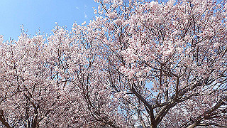 p4030473_thumb.jpg