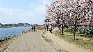 p4030475_thumb.jpg
