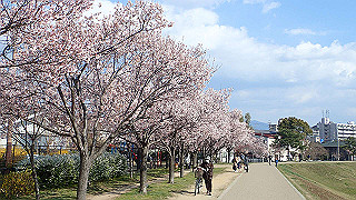 p4030478_thumb.jpg