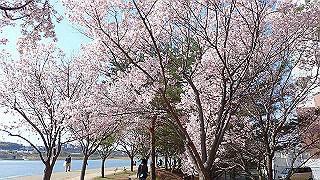p4030480_thumb.jpg