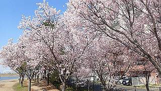 p4030484_thumb.jpg