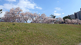 p4030486_thumb.jpg