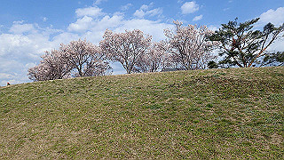 p4030487_thumb.jpg