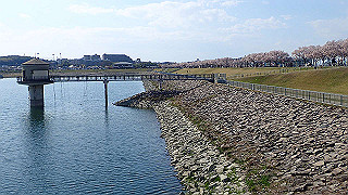 p4030490_thumb.jpg