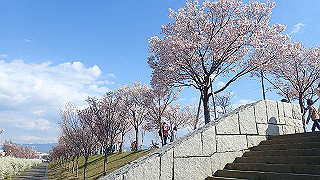 p4030504_thumb.jpg