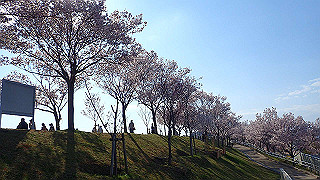 p4030507_thumb.jpg