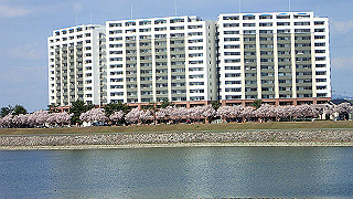 p4030517_thumb.jpg