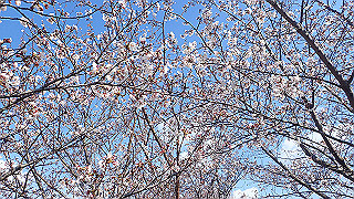 p4030527_thumb.jpg