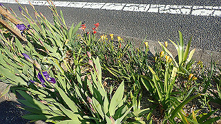 p4030532_thumb.jpg