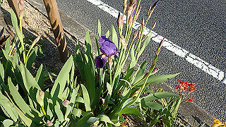 p4030534_thumb.jpg