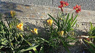 p4030535_thumb.jpg