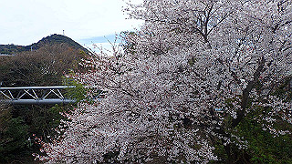 p4050482_thumb.jpg