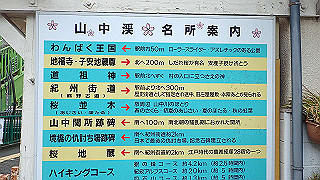 p4050517_thumb.jpg