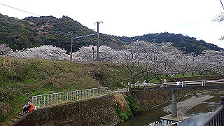 p4050526_thumb.jpg