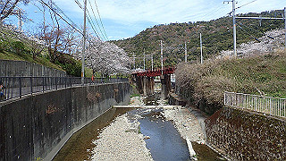 p4050532_thumb.jpg