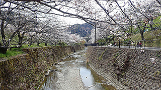 p4050534_thumb.jpg