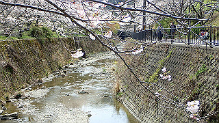 p4050536_thumb.jpg