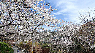 p4050541_thumb.jpg
