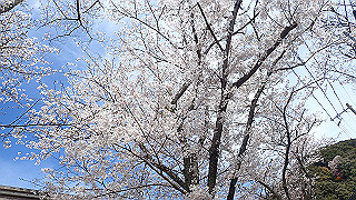 p4050543_thumb.jpg