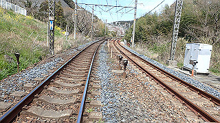 p4050546_thumb.jpg