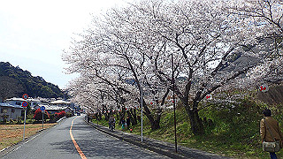 p4050551_thumb.jpg