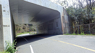p4050562_thumb.jpg