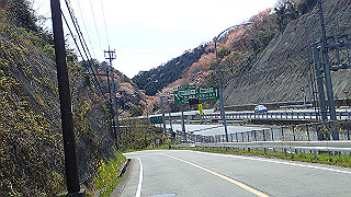 p4050566_thumb.jpg