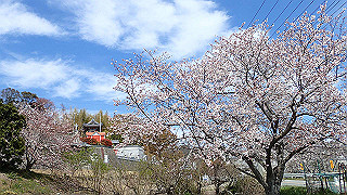 p4050571_thumb.jpg